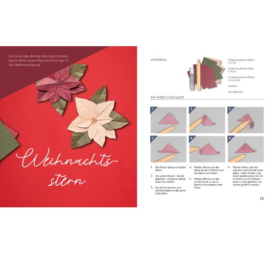 Livre &laquo; Origami - Winter Flowers &raquo;