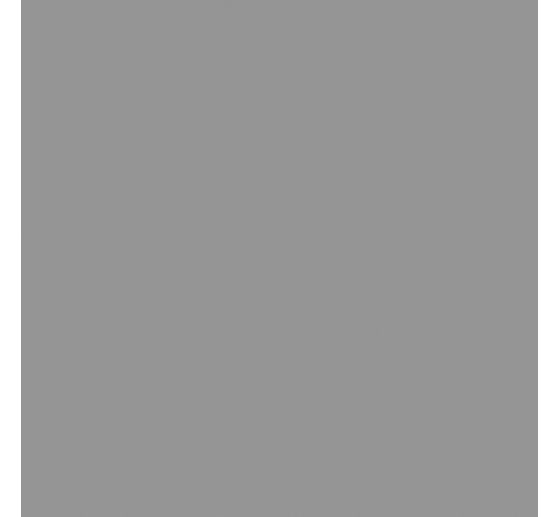 Acrylfarbe Solo Goya Triton Acrylic Basic, 750 ml