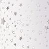 Motif cardboard "Stars" Silver