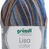 Gründl Wool "Lisa Premium Color" Brown/Beige/Blue