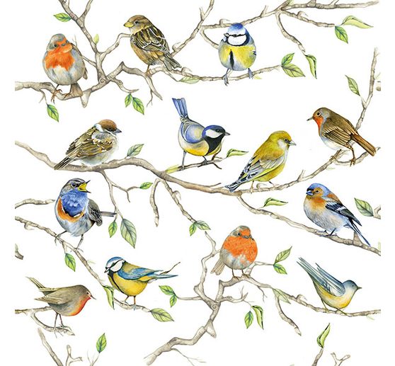 Serviette « Rassemblement d''oiseaux »