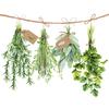 Serviette « Herbes fraîches » 
