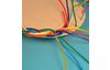 Livre « Faszination Peddigrohr »