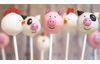 Livre " Cake pops "