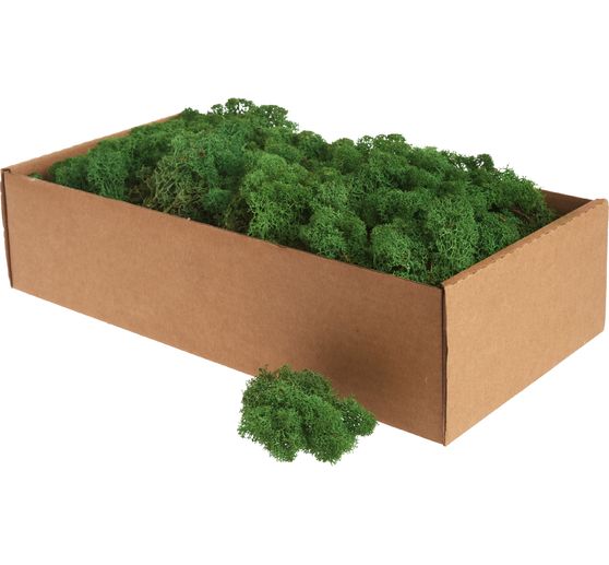Lichen d'Islande, 400 g