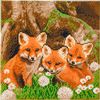 Diamond Painting "Crystal Art Kit" Fox Cubs