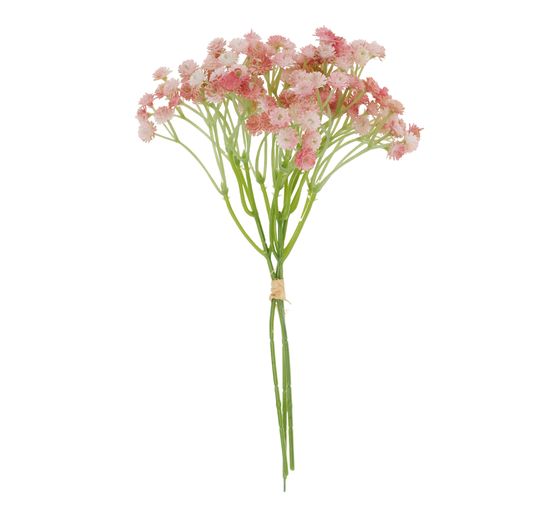 VBS Schleierkraut Bund "Florissa"
