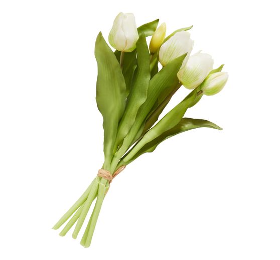 Tulpen Bund mit 3 Blüten und 2 Knospen