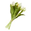 Tulpen Bund mit 3 Blüten und 2 Knospen Creme