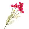 Cosmea Zweig mit 5 Bl&uuml;ten Pink