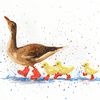 Maxi card set "Diamonds" Puddle Parade