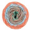 Fil coton Rico Design Ricorumi « Spin Spin » Summer