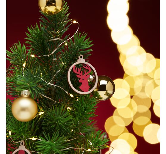 Edeltannenbaum "Rory" im Topf
