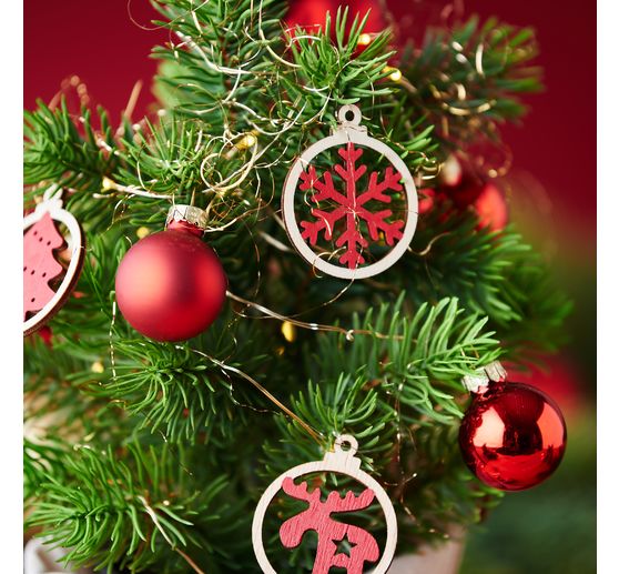 Edeltannenbaum "Rory" im Topf
