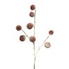 Tige pompon, enneig&eacute;e Vieux rose