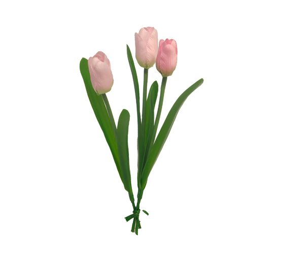 Tulipe à tige unique