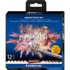 Pigment brush pen STAEDTLER, set de 12 Portrait Colours