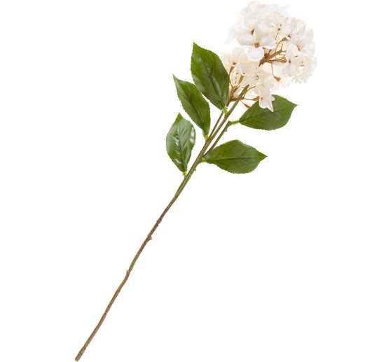 Hortensia &agrave; deux fleurs