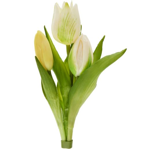 Bouquet de tulipes &laquo; Sally &raquo;