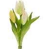 Bouquet de tulipes &laquo; Sally &raquo; Cream