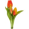 Bouquet de tulipes &laquo; Sally &raquo; Orange