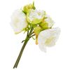 Bouquet de pivoines avec 5 fleurs Cream