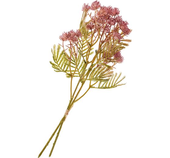 Branche de l'inflorescence