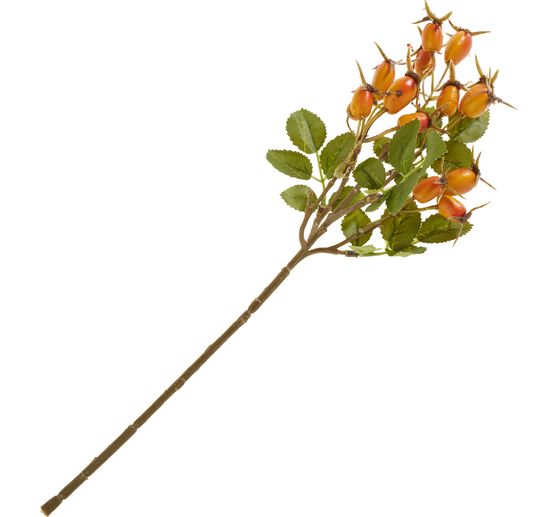 Rosehip branch