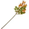 Rosehip branch Yellow