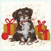 Maxi-Karten-Set "Diamonds" Scamp