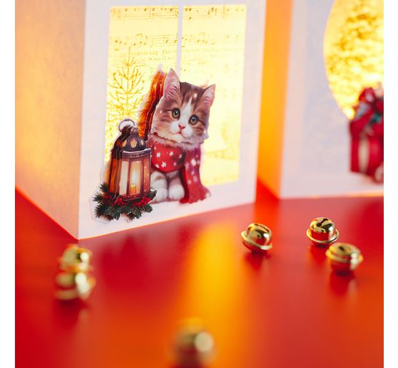 Set de motifs 3D pr&eacute;-estamp&eacute;s &laquo; Furry Christmas &raquo;