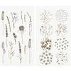 Stickers washi &laquo; In the Meadow &raquo; Noir/Or