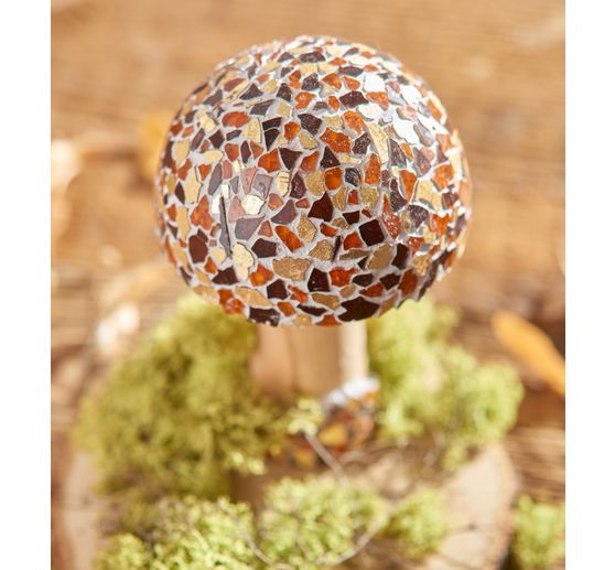 Holz-Pilz