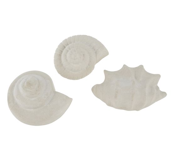 Moule « Trio de coquillages »