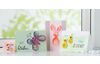 Cartes doubles avec enveloppes VBS « Pastel », 50 pc.