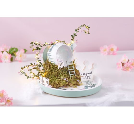 Plate moss, 50 g