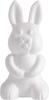 Styroporform "Hase"