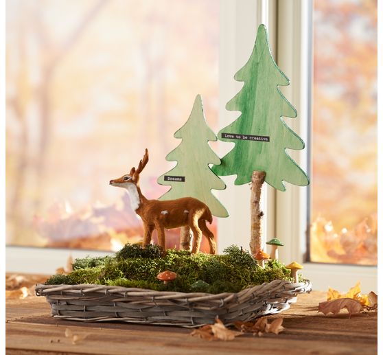 Plate moss, 50 g