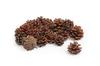 Pommes de pin VBS, env. 4 cm, 250 g