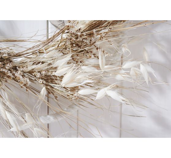 Avoine sauvage blanchie