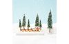 VBS Miniature fir tree set "Dawson"