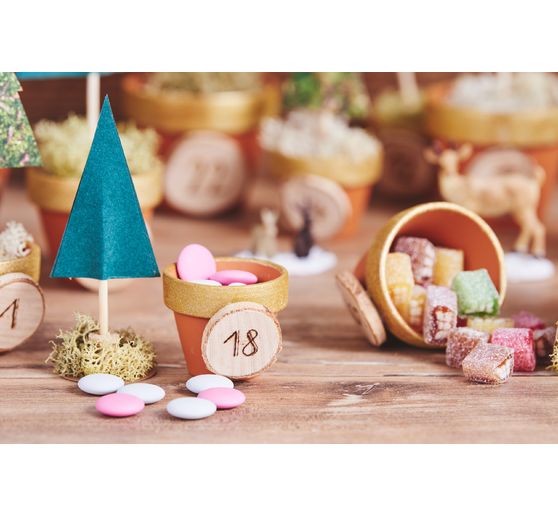 VBS Mini bark discs "Round"