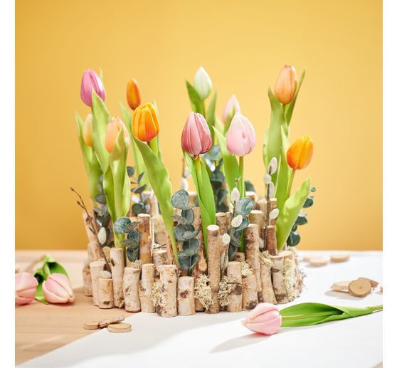 VBS Iceland moss, 100 g