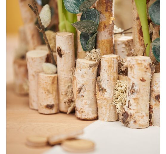 VBS Birken&auml;ste "Dalke", 10 St&uuml;ck