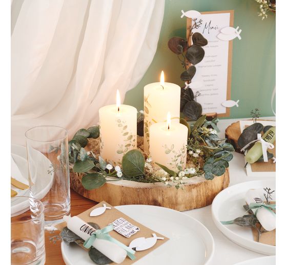 VBS Iceland moss, 100 g