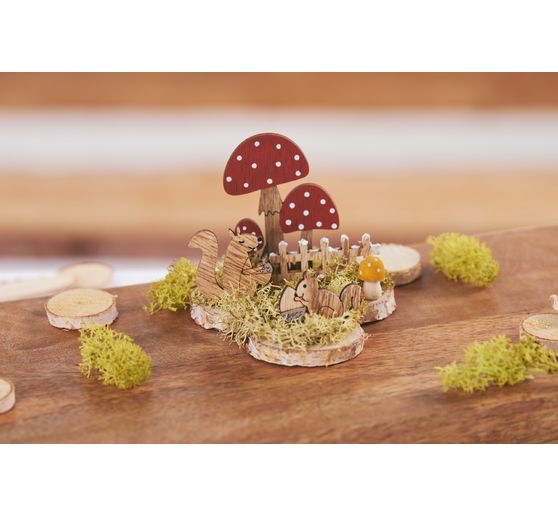 VBS Islandmoos, 100 g