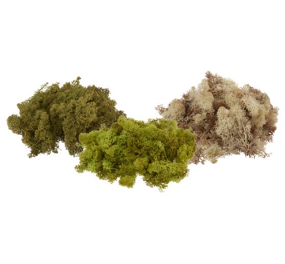 VBS Islandmoos, 100 g