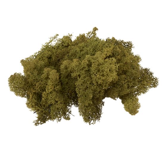 VBS Islandmoos, 100 g