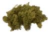 Lichen d'Islande VBS, 100 g