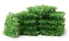 VBS Grass mats "13 x 13 cm", 10 pieces